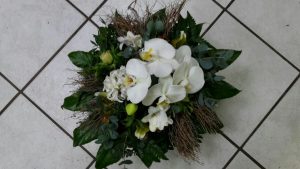 IMG-20160129-WA0002